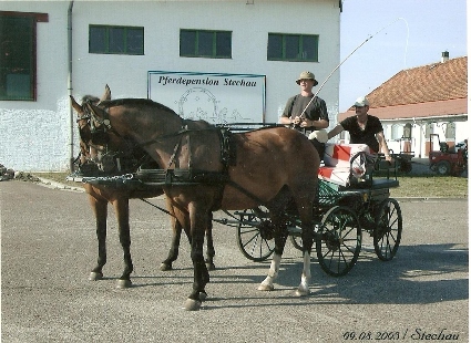 unterwegs mit Kutsche