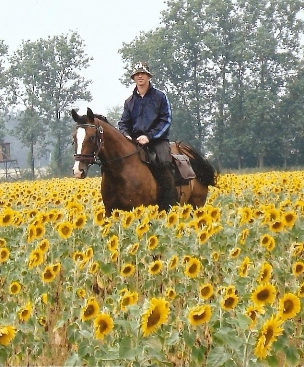 unterwegs mit meinem Pferd